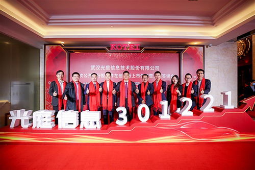 湖北兩家企業同日登陸深交所創業板，軟件產業迎來新機遇